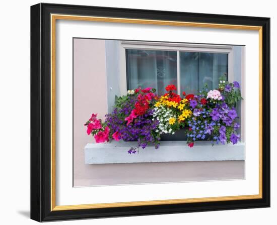 Window greets visitors in the village of Cong, Connacht County, Ireland.-Betty Sederquist-Framed Photographic Print