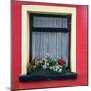 Window greets visitors in the village of Cong, Connacht County, Ireland.-Betty Sederquist-Mounted Photographic Print