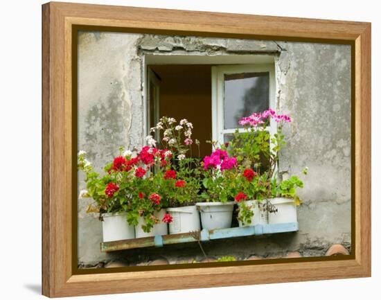 Window in Old Town, Istria, Croatia-Russell Young-Framed Premier Image Canvas