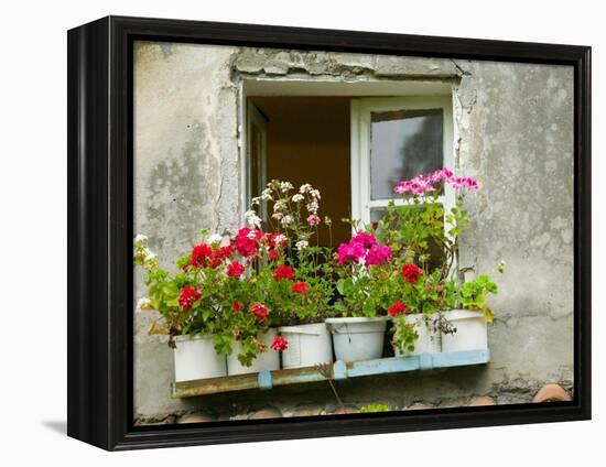 Window in Old Town, Istria, Croatia-Russell Young-Framed Premier Image Canvas