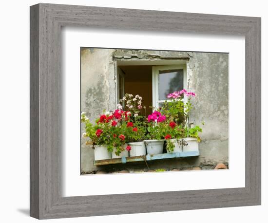 Window in Old Town, Istria, Croatia-Russell Young-Framed Photographic Print