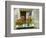 Window in Old Town, Istria, Croatia-Russell Young-Framed Photographic Print