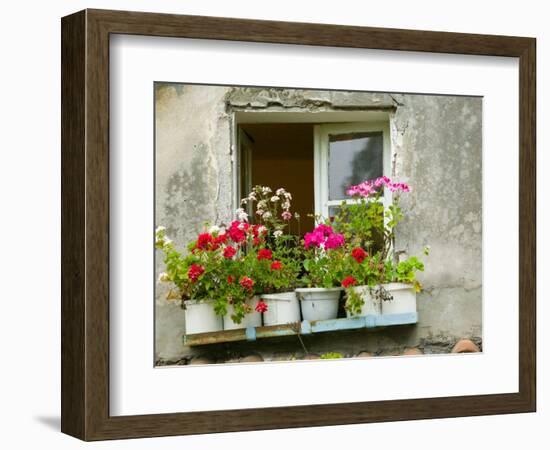 Window in Old Town, Istria, Croatia-Russell Young-Framed Photographic Print