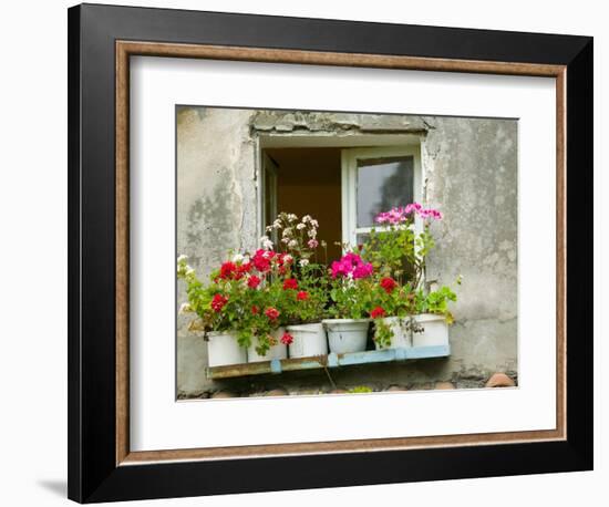 Window in Old Town, Istria, Croatia-Russell Young-Framed Photographic Print