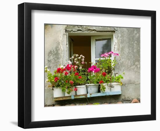 Window in Old Town, Istria, Croatia-Russell Young-Framed Photographic Print