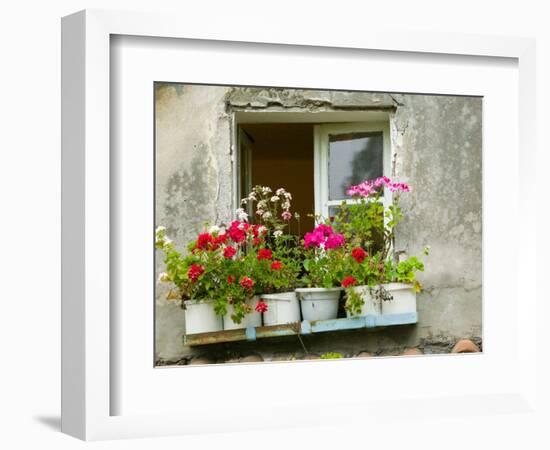 Window in Old Town, Istria, Croatia-Russell Young-Framed Photographic Print