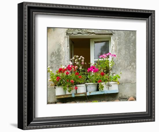 Window in Old Town, Istria, Croatia-Russell Young-Framed Photographic Print