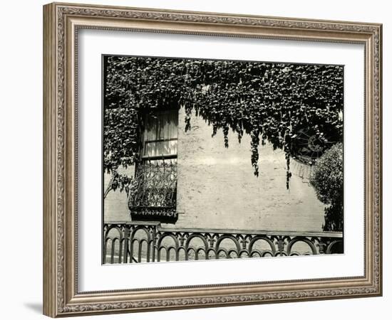 Window, Ivy On Wall, New York, 1945-Brett Weston-Framed Photographic Print