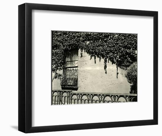 Window, Ivy On Wall, New York, 1945-Brett Weston-Framed Photographic Print