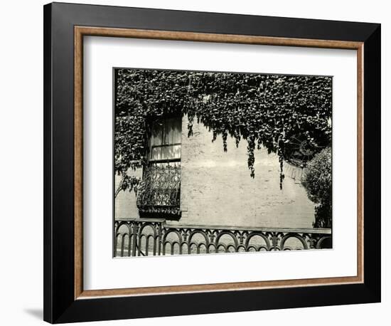 Window, Ivy On Wall, New York, 1945-Brett Weston-Framed Photographic Print