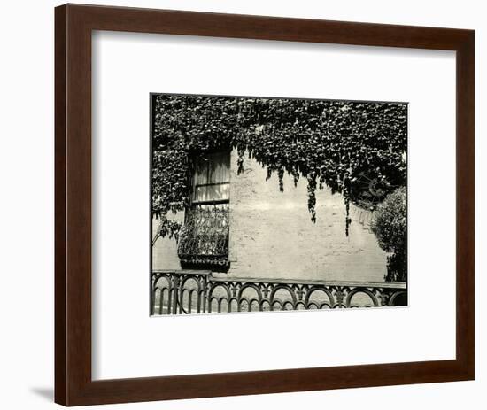 Window, Ivy On Wall, New York, 1945-Brett Weston-Framed Photographic Print