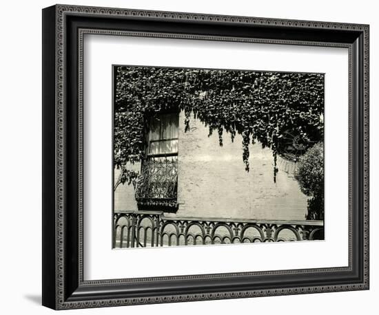 Window, Ivy On Wall, New York, 1945-Brett Weston-Framed Photographic Print