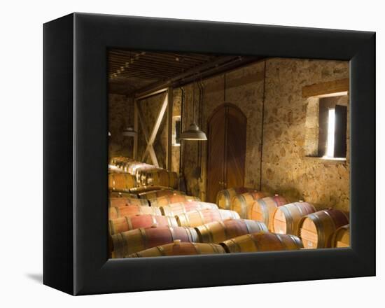 Window Light Streams Into Barrel Room at Hess Collection Winery, Napa Valley, California, USA-Janis Miglavs-Framed Premier Image Canvas
