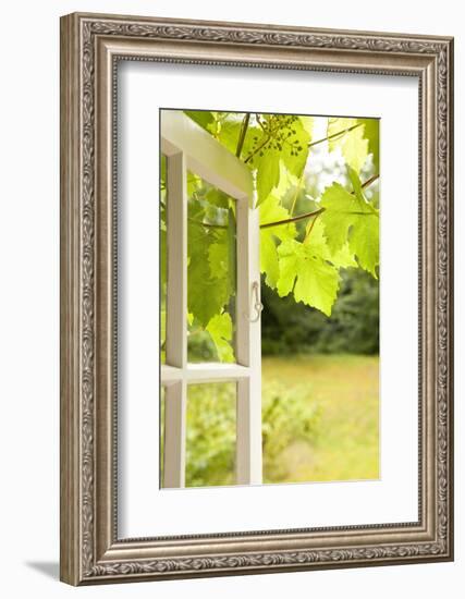 Window, Open, Garden-Nora Frei-Framed Photographic Print