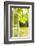 Window, Open, Garden-Nora Frei-Framed Photographic Print