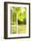 Window, Open, Garden-Nora Frei-Framed Photographic Print