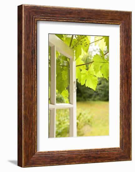 Window, Open, Garden-Nora Frei-Framed Photographic Print