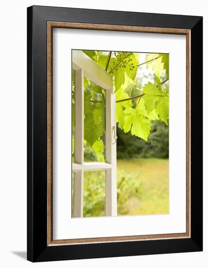 Window, Open, Garden-Nora Frei-Framed Photographic Print