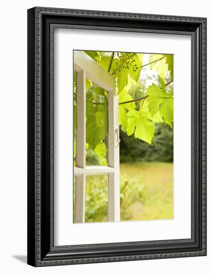 Window, Open, Garden-Nora Frei-Framed Photographic Print