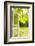 Window, Open, Garden-Nora Frei-Framed Photographic Print