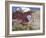 Window Rock, Eroded Forms Near Navaho (Navajo) Tribal Centre, Arizona, USA-Walter Rawlings-Framed Photographic Print