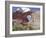 Window Rock, Eroded Forms Near Navaho (Navajo) Tribal Centre, Arizona, USA-Walter Rawlings-Framed Photographic Print