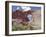 Window Rock, Eroded Forms Near Navaho (Navajo) Tribal Centre, Arizona, USA-Walter Rawlings-Framed Photographic Print