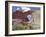 Window Rock, Eroded Forms Near Navaho (Navajo) Tribal Centre, Arizona, USA-Walter Rawlings-Framed Photographic Print