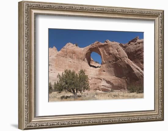 Window Rock Navajo Tribal Park, Arizona, United States of America, North America-Richard Maschmeyer-Framed Photographic Print