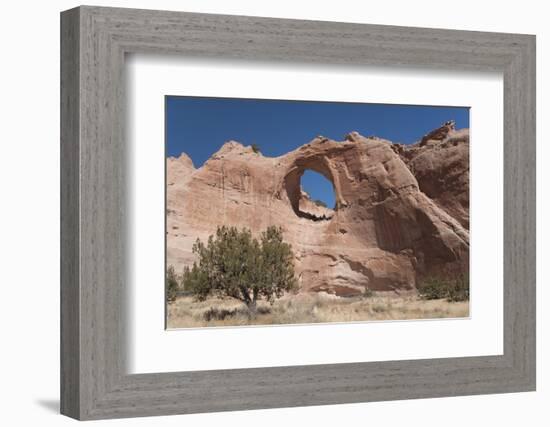 Window Rock Navajo Tribal Park, Arizona, United States of America, North America-Richard Maschmeyer-Framed Photographic Print