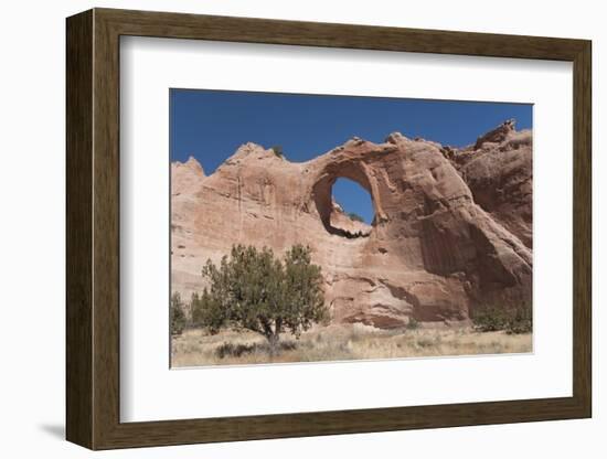 Window Rock Navajo Tribal Park, Arizona, United States of America, North America-Richard Maschmeyer-Framed Photographic Print