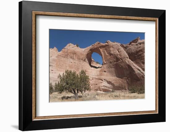 Window Rock Navajo Tribal Park, Arizona, United States of America, North America-Richard Maschmeyer-Framed Photographic Print