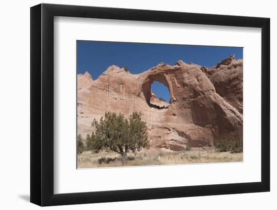 Window Rock Navajo Tribal Park, Arizona, United States of America, North America-Richard Maschmeyer-Framed Photographic Print