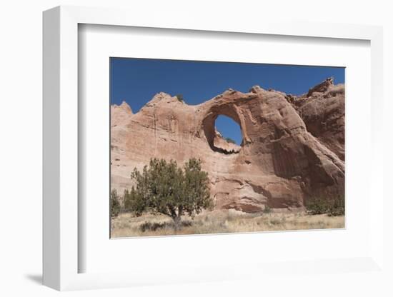 Window Rock Navajo Tribal Park, Arizona, United States of America, North America-Richard Maschmeyer-Framed Photographic Print