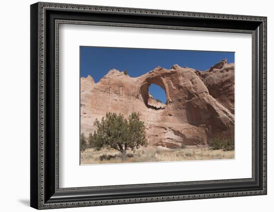 Window Rock Navajo Tribal Park, Arizona, United States of America, North America-Richard Maschmeyer-Framed Photographic Print