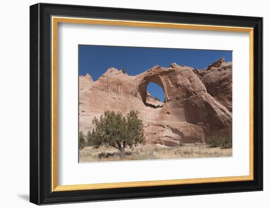 Window Rock Navajo Tribal Park, Arizona, United States of America, North America-Richard Maschmeyer-Framed Photographic Print