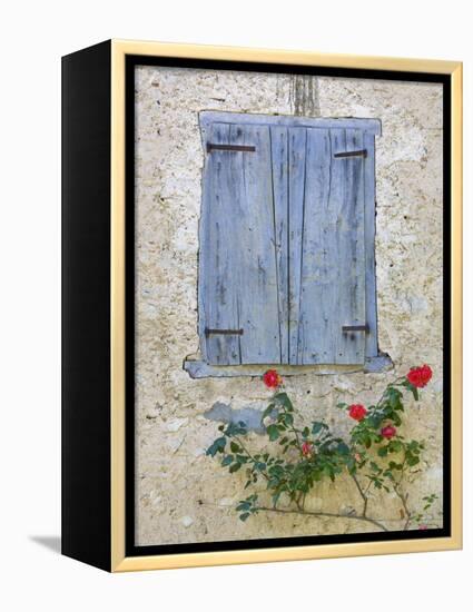 Window Shutters and Roses, Roquefixade, Ariege, Midi-Pyrenees, France-Doug Pearson-Framed Premier Image Canvas