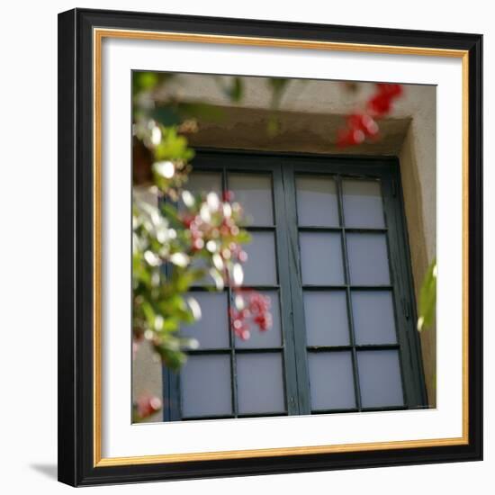 Window Sill-Nicole Katano-Framed Photo