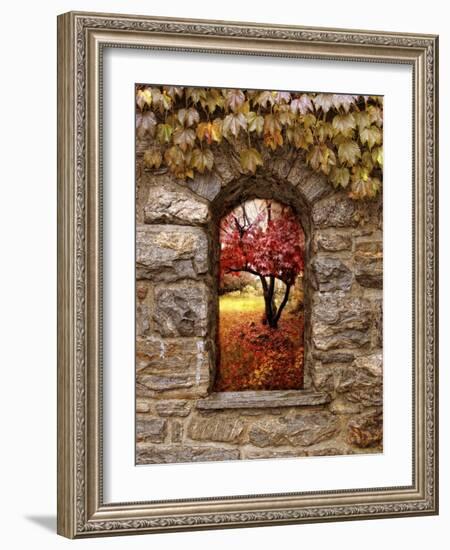 Window to Autumn-Jessica Jenney-Framed Giclee Print