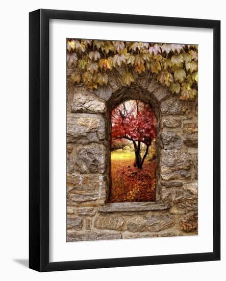 Window to Autumn-Jessica Jenney-Framed Giclee Print