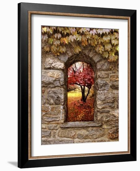 Window to Autumn-Jessica Jenney-Framed Giclee Print