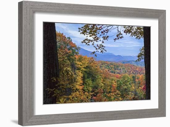 Window To The Smoky Mountains-Galloimages Online-Framed Photographic Print