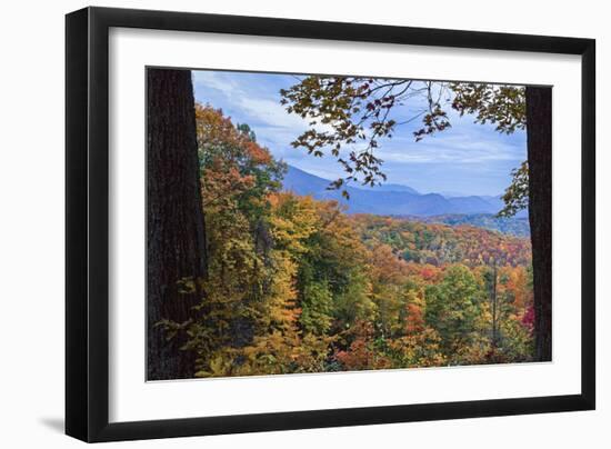 Window To The Smoky Mountains-Galloimages Online-Framed Photographic Print