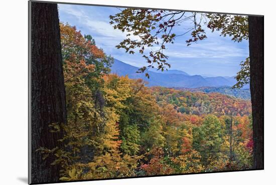 Window To The Smoky Mountains-Galloimages Online-Mounted Photographic Print