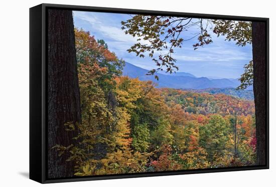 Window To The Smoky Mountains-Galloimages Online-Framed Stretched Canvas