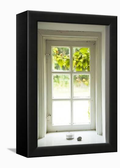 Window, Vine Leaves, Transom Window, Plants-Nora Frei-Framed Premier Image Canvas