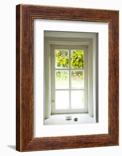 Window, Vine Leaves, Transom Window, Plants-Nora Frei-Framed Photographic Print