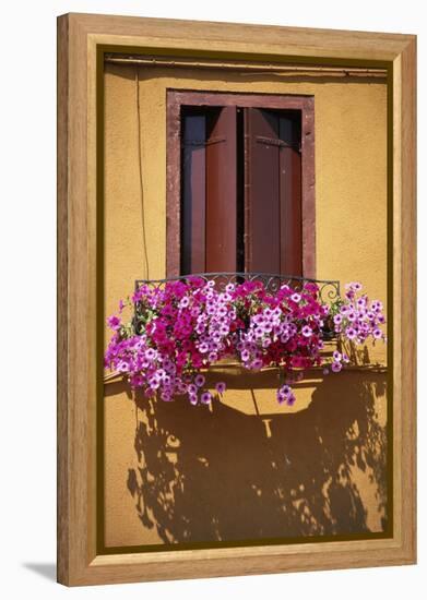 Window with Brown Shutters, Pink Flowers and Yellow Wall. - Burano, Venice-Robert ODea-Framed Premier Image Canvas