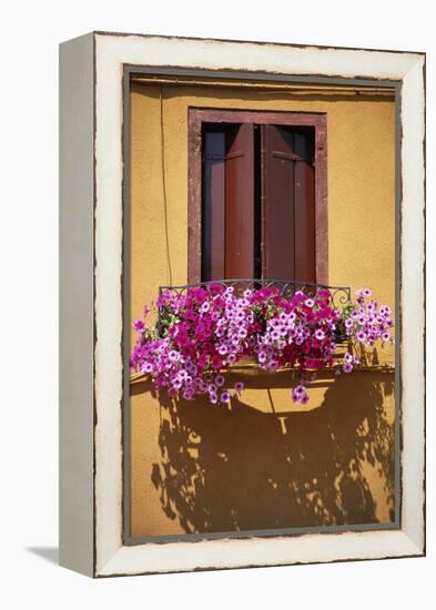 Window with Brown Shutters, Pink Flowers and Yellow Wall. - Burano, Venice-Robert ODea-Framed Premier Image Canvas