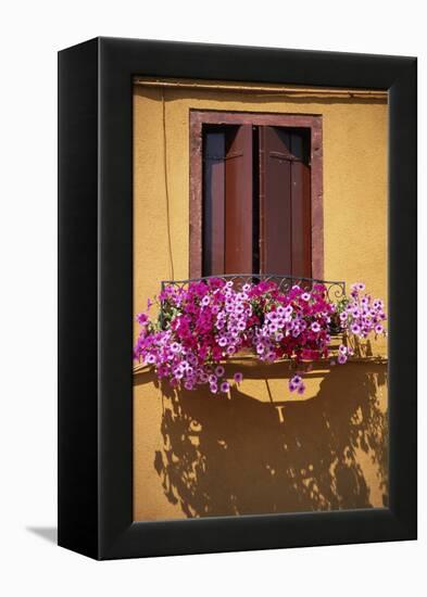 Window with Brown Shutters, Pink Flowers and Yellow Wall. - Burano, Venice-Robert ODea-Framed Premier Image Canvas